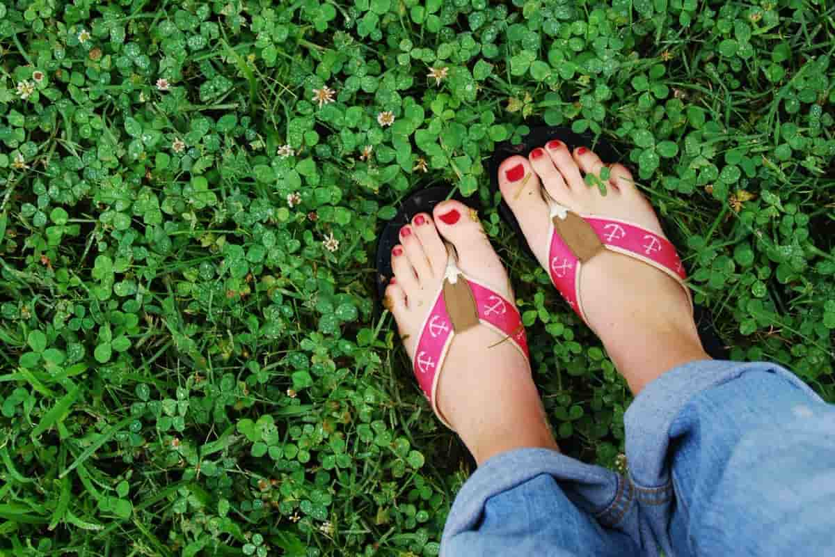  Best types of sandals Purchase Price + Photo 