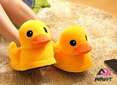 duck slippers with complete explanations and familiarization