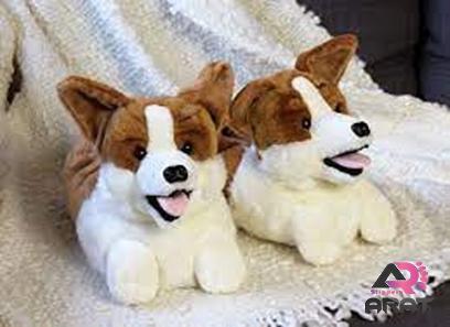 dog slippers buying guide with special conditions and exceptional price